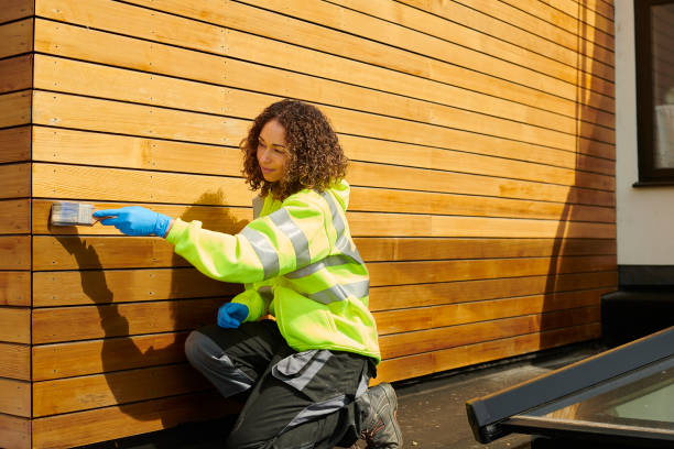 Affordable Siding Repair and Maintenance Services in Pierre, SD